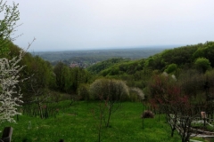 30715571_1885336541511650_304913822093803650_n