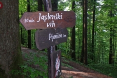 Japlenski_vrh2