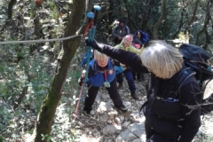 46492622_2128609017200097_4291065825017724928_n