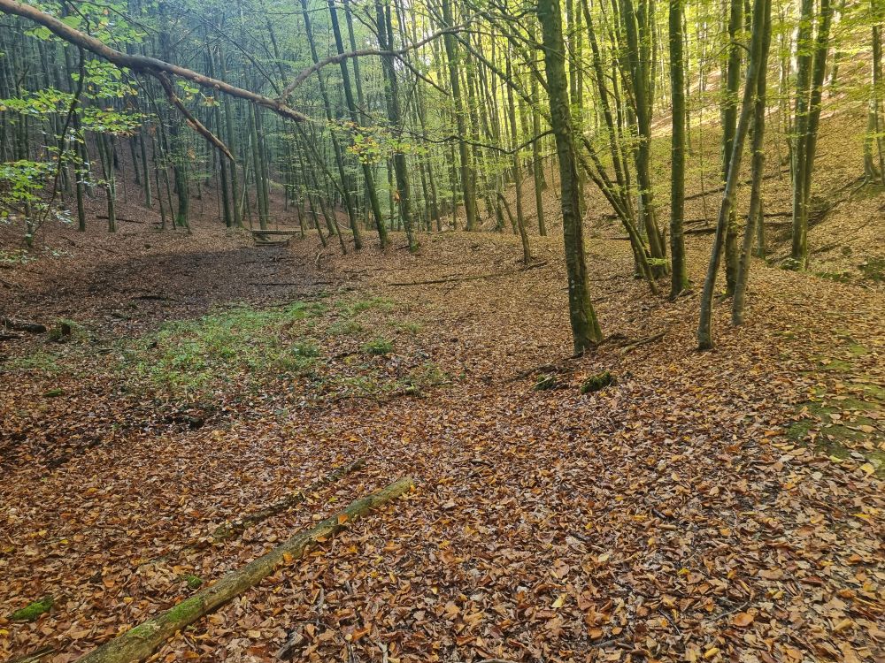 Moslavačka gora 2025