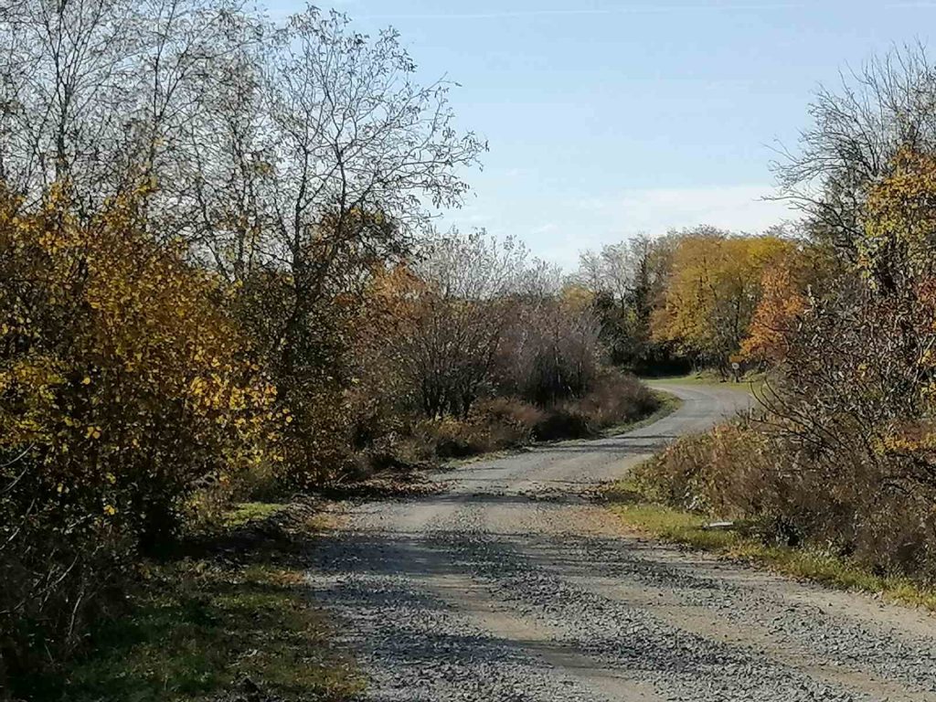 11. Zimski uspon na vrh Papuka