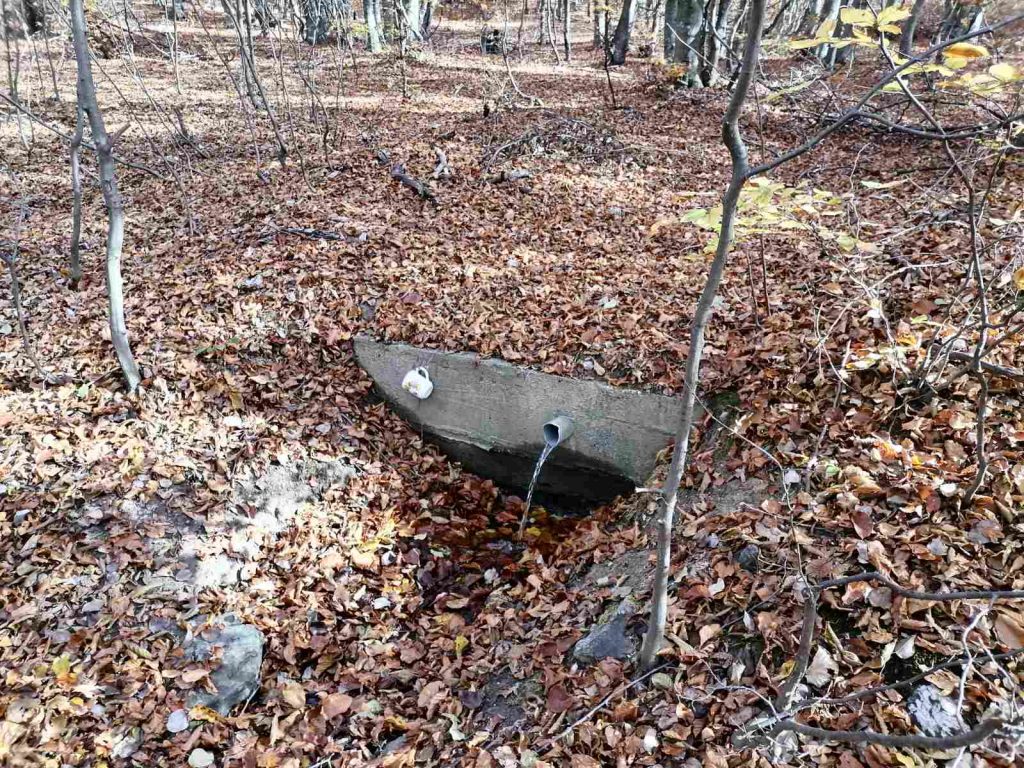 11. Zimski uspon na vrh Papuka