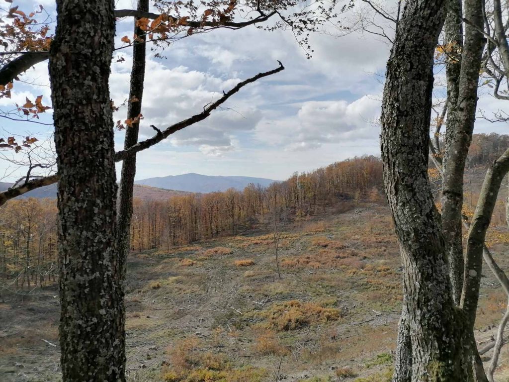 11. Zimski uspon na vrh Papuka