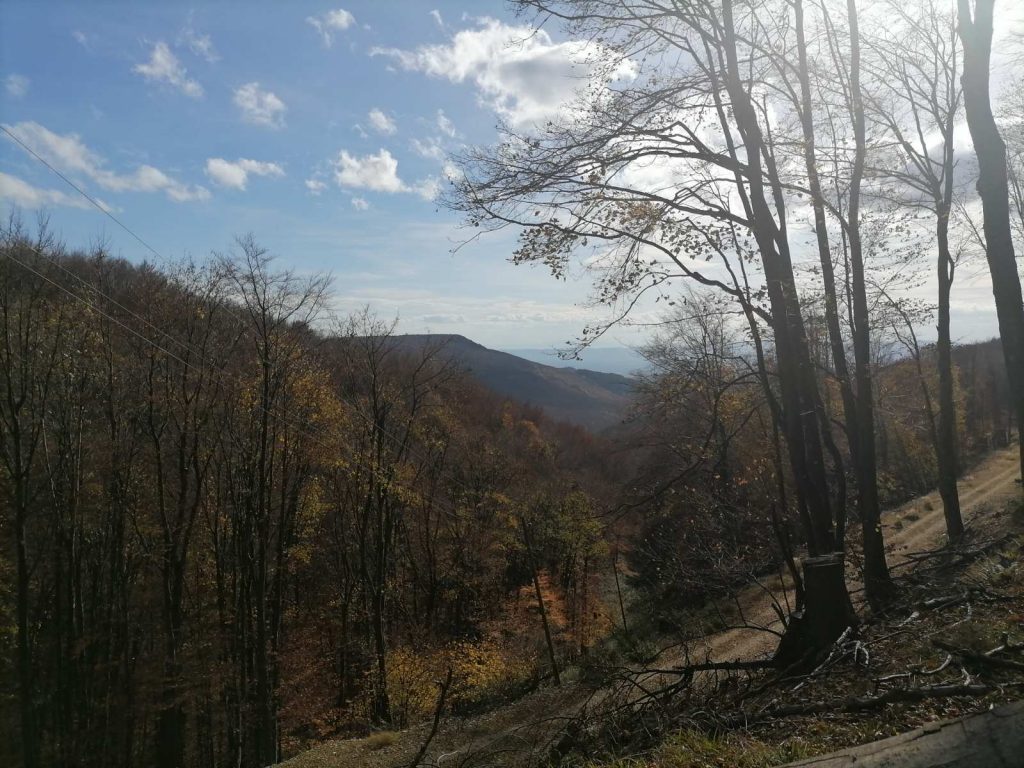 11. Zimski uspon na vrh Papuka