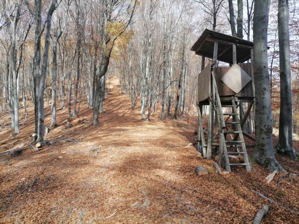 11. Zimski uspon na vrh Papuka