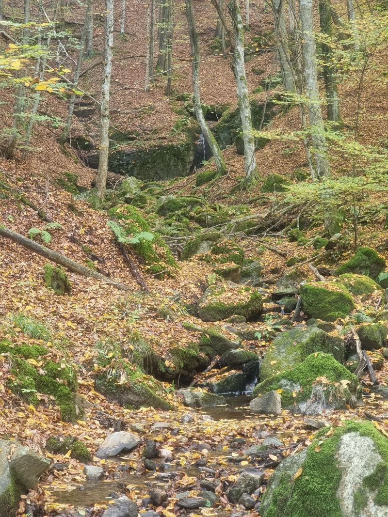 Zvečevo VražjiMlin