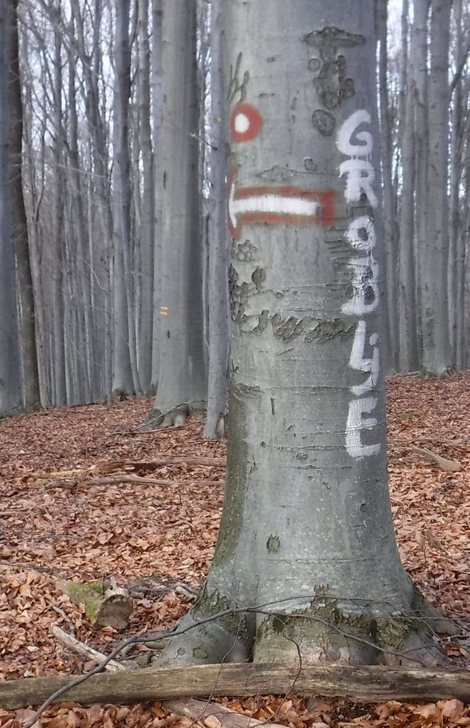 Zvečevo VražjiMlin