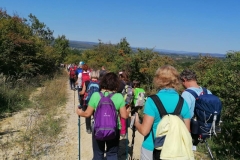 118647550_10164031634870564_396887280112872121_n