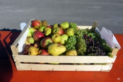 118715108_3556262024419085_1950375264848549587_o