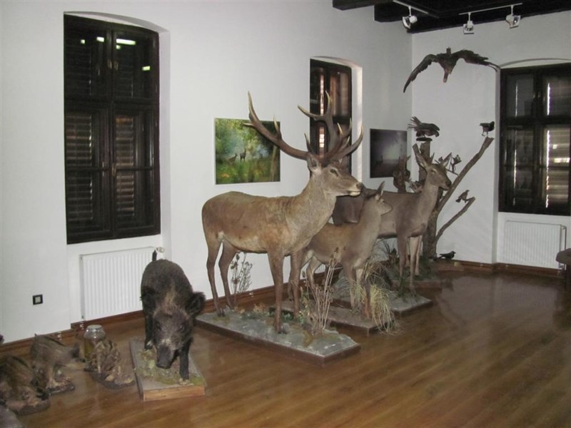 IMG_8386 (Large)_900_600_withoutgrow