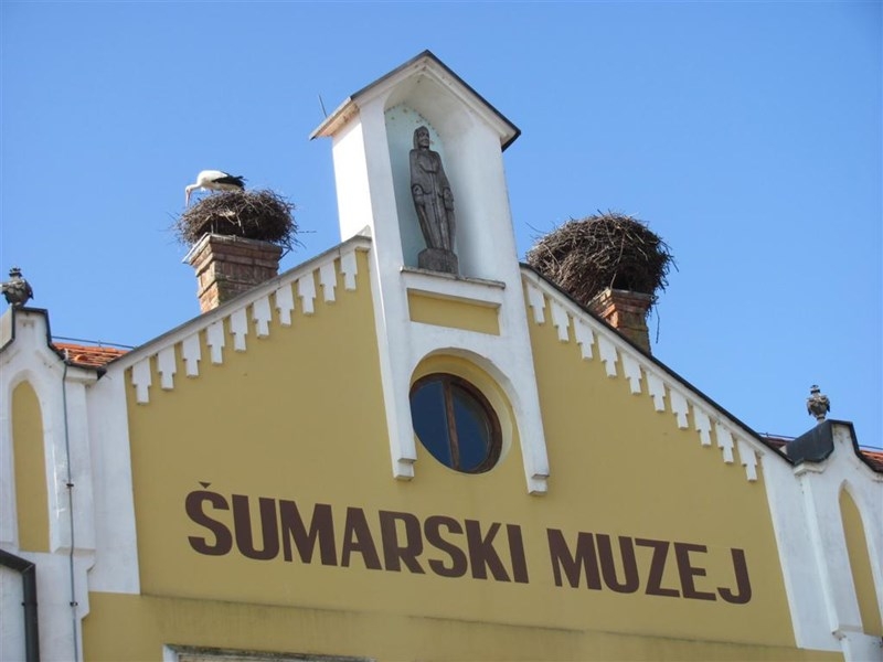 IMG_8414 (Large)_900_600_withoutgrow