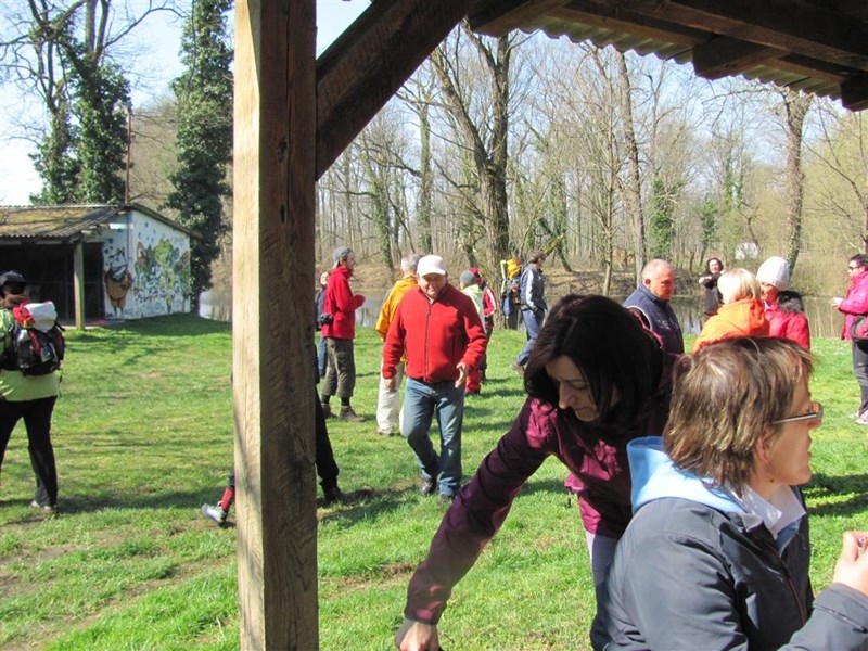 IMG_8422 (Large)_900_600_withoutgrow