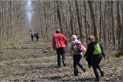 DSC_8854_900_600_withoutgrow