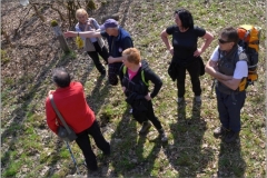 DSC_8856_900_600_withoutgrow