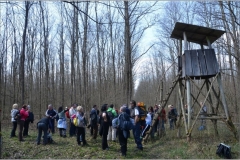 DSC_8869_900_600_withoutgrow