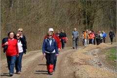 DSC_8953_900_600_withoutgrow