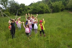 Sl_1_900_600_withoutgrow