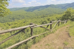 fruska-5