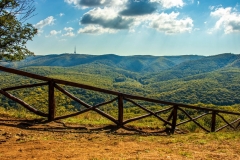 fruska-6