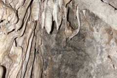 DSCF4106_900_600_withoutgrow