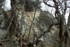 DSCF4138_900_600_withoutgrow