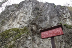 DSCF4197_900_600_withoutgrow