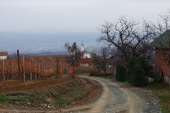 DSCF5386