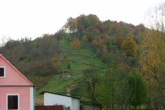DSCF8386