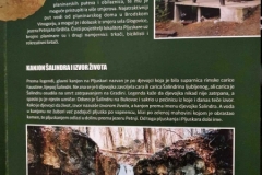Pljuskara3