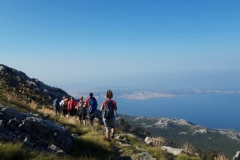 118397140_302687487490149_2628566347099829106_n