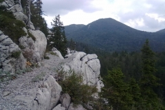 118523449_751149345664573_5026721424418721257_n