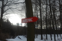 P1040037_900_600_withoutgrow