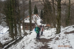 P1040049_900_600_withoutgrow