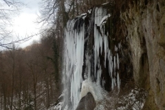 P1040060_900_600_withoutgrow