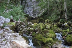 Kupa_2