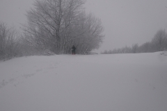 Snježno subotnje jutro