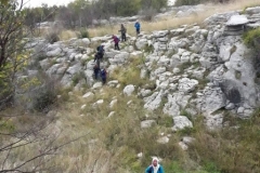 44581757_482969178853731_7819521448845770752_n