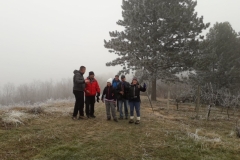 82469692_109442147129891_7359053353592029184_n