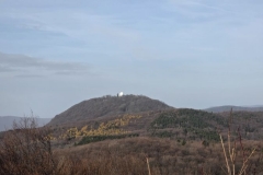 VPV2-008