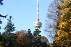 DSCF1358