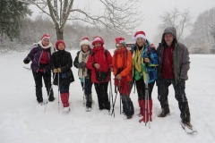 Ber_1_900_600_withoutgrow