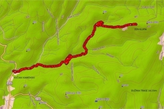 Damir_1_900_600_withoutgrow