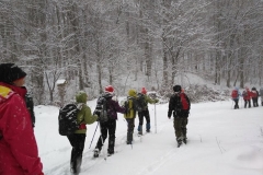 Kse_1_900_600_withoutgrow