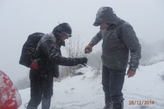 PC280031-001_900_600_withoutgrow