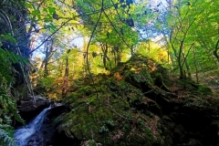 IMG_20260927_092303