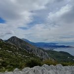 Rumija